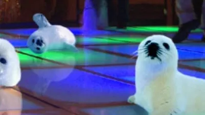 Some baby seals on a multicoloured dance floor.
