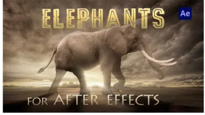 A quite convincing profile view picture of an elephant against a moody backdrop. The caption reads “Elephants for After Effects”. They’ve used two different fonts, because that’s cool right?