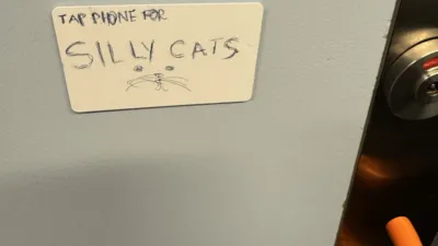 A white credit card sized object stick to the wall of a train with the hand written message “tap phone for silly cats”, and a biro doodle of a cat face.
