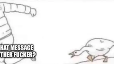 The angry goose meme, captioned “what message mother fucker”