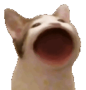 Emoji bop_cat