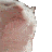 Emoji catjam