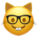 Emoji nerdcat