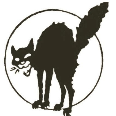 Profile image for Fey✨ :antifa: :anarchopunk: