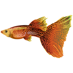 Profile image for systemsthinking group